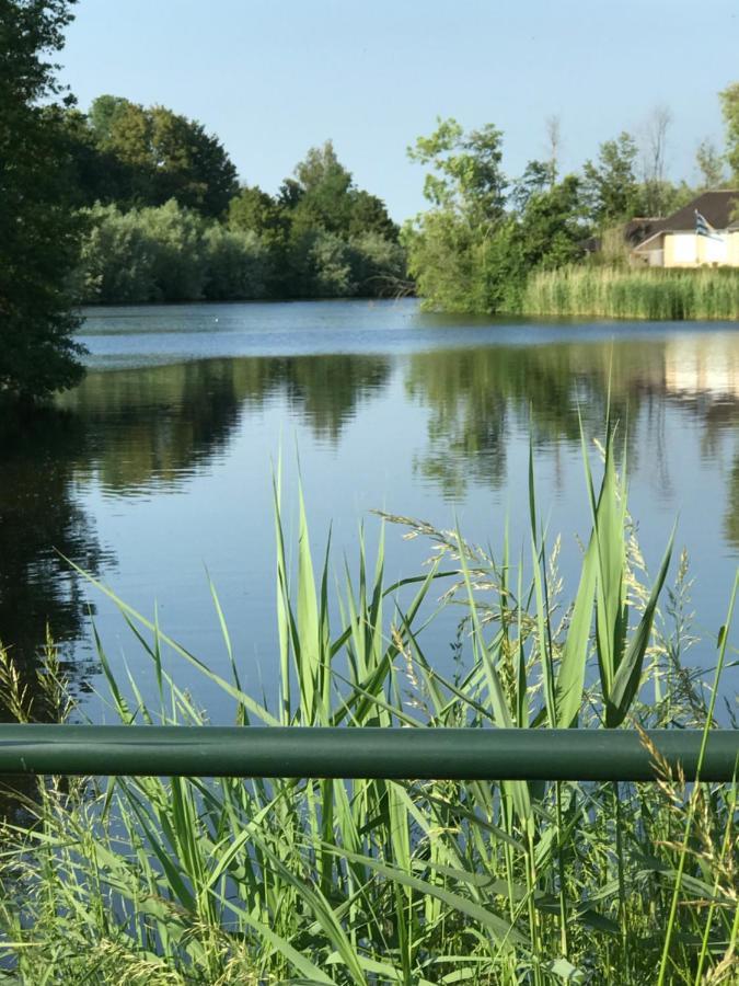 Leuk Vakantiewoning Dijk Woning Met 3 Slaapkamers Dicht Bij De Belgische Grensen Westdorpe エクステリア 写真